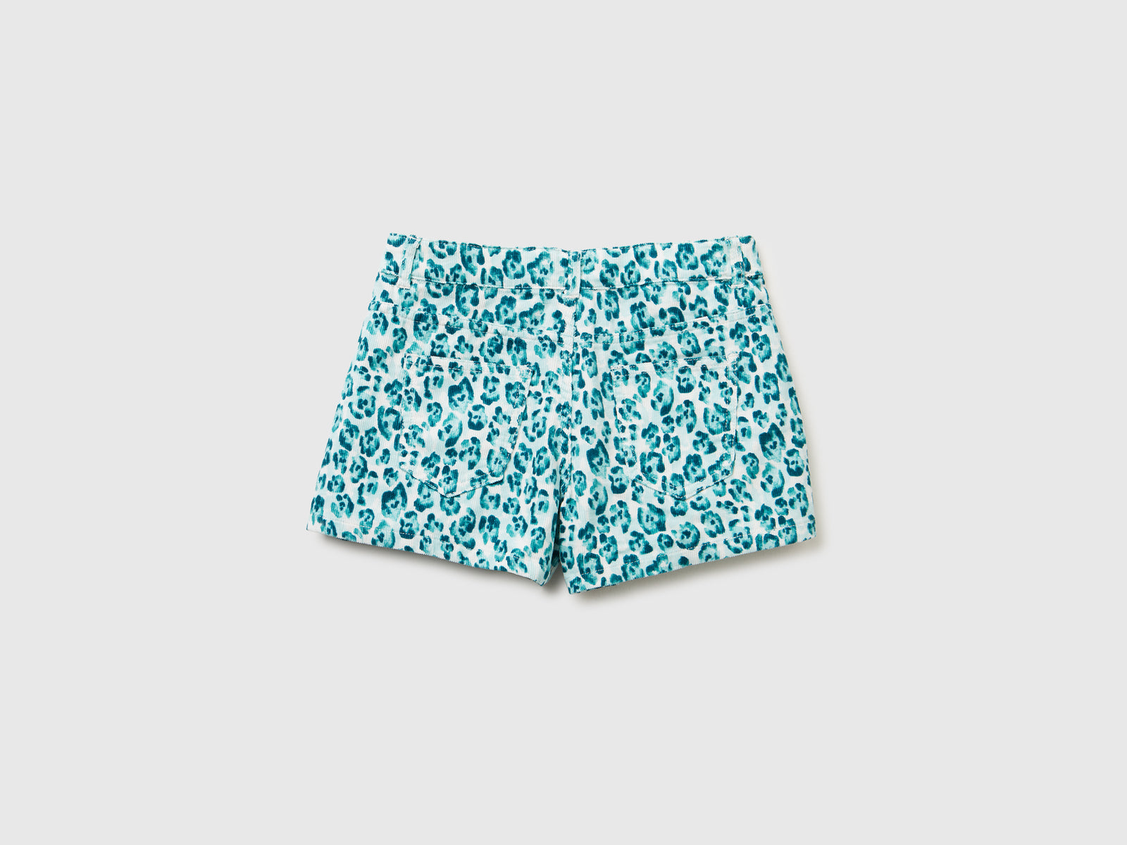 Minissaia animalier - ucb_image_BS