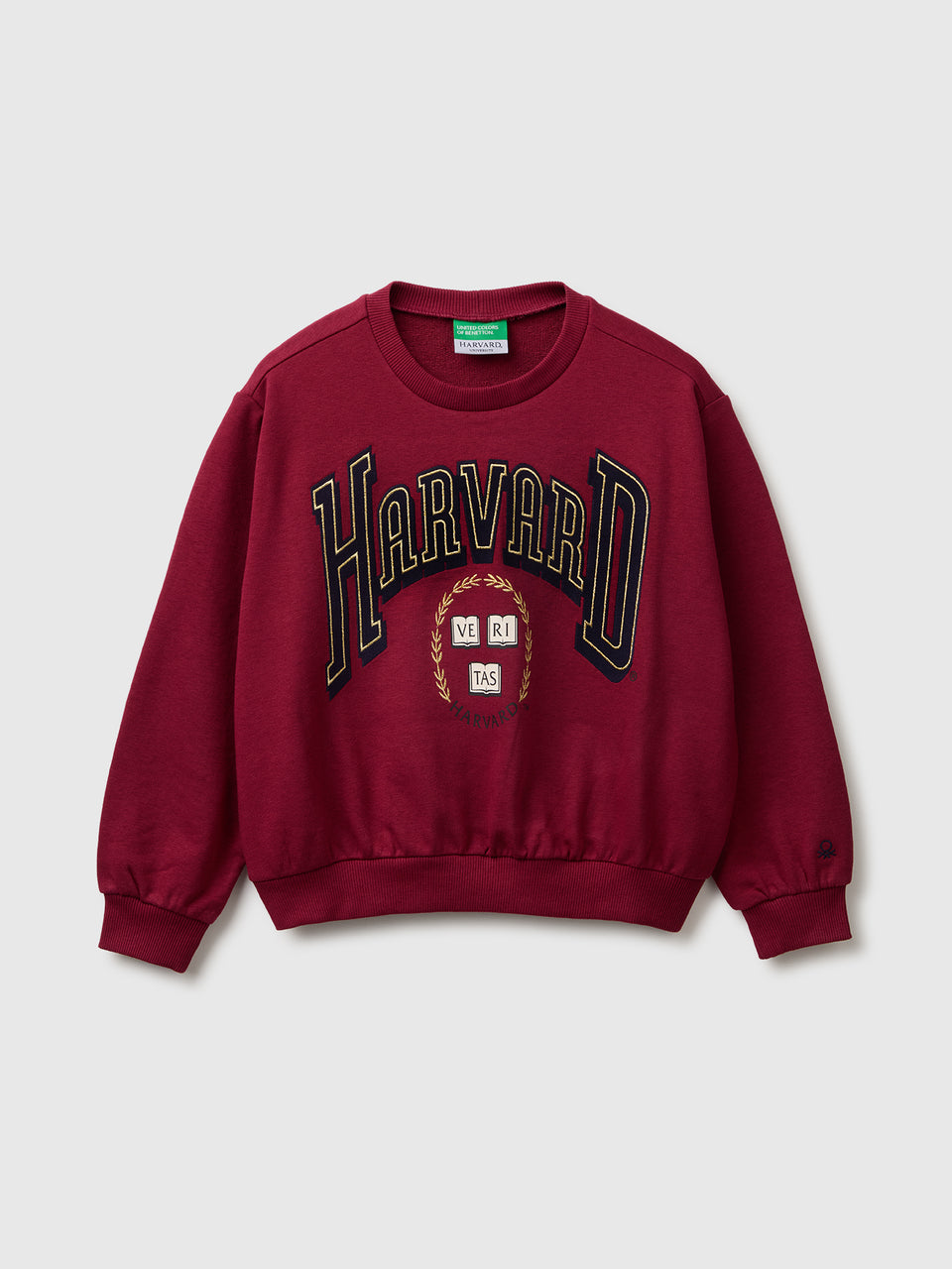 Sweat ©Harvard University - ucb_image_FS